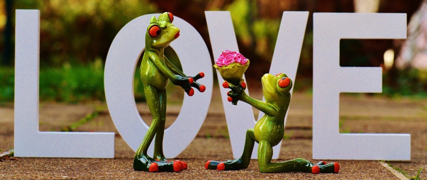 valentine's day 2016