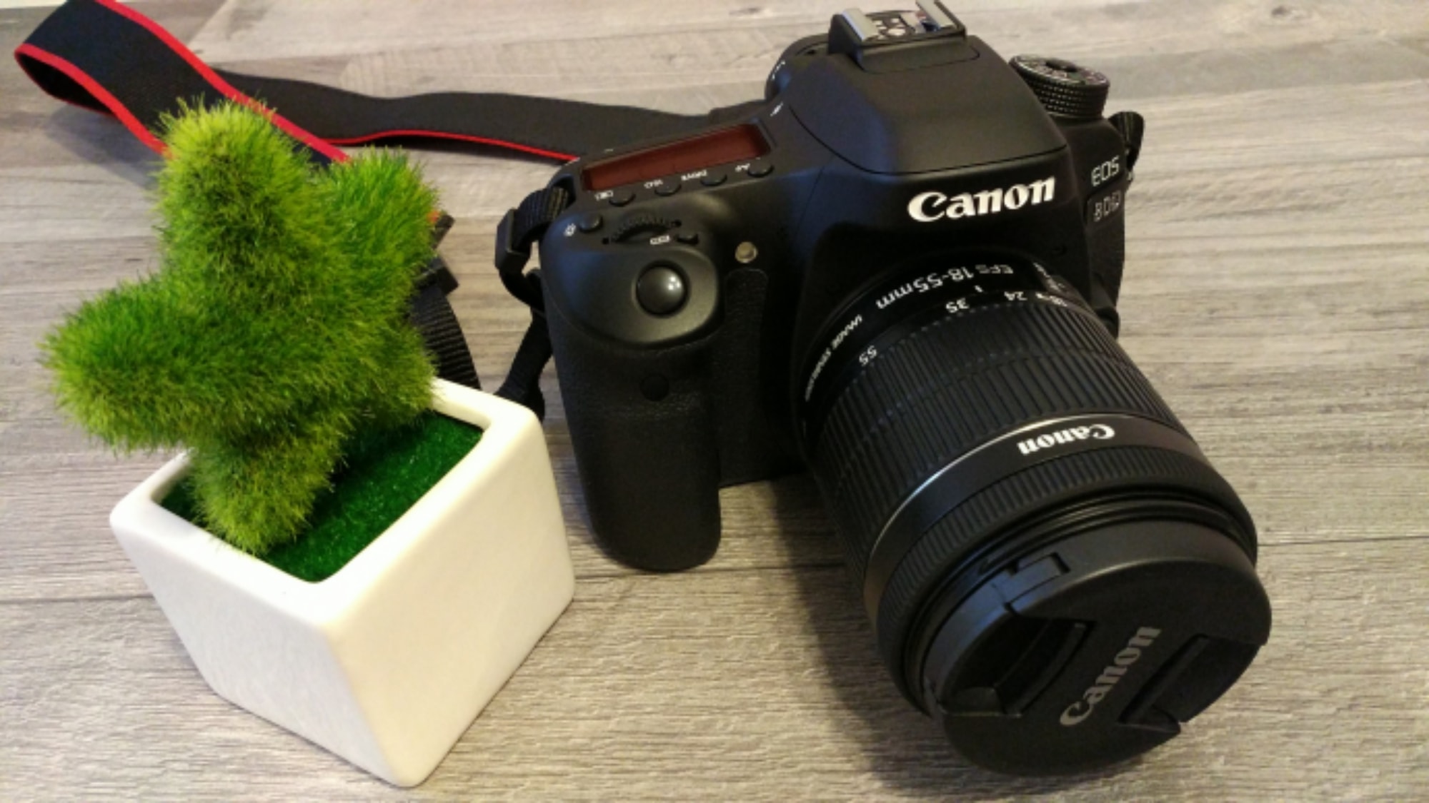 DSLR-canon-eos-80d poze pentru blog